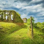 Holiday home Medieval Tower In Colli Orientali Del Friuli *